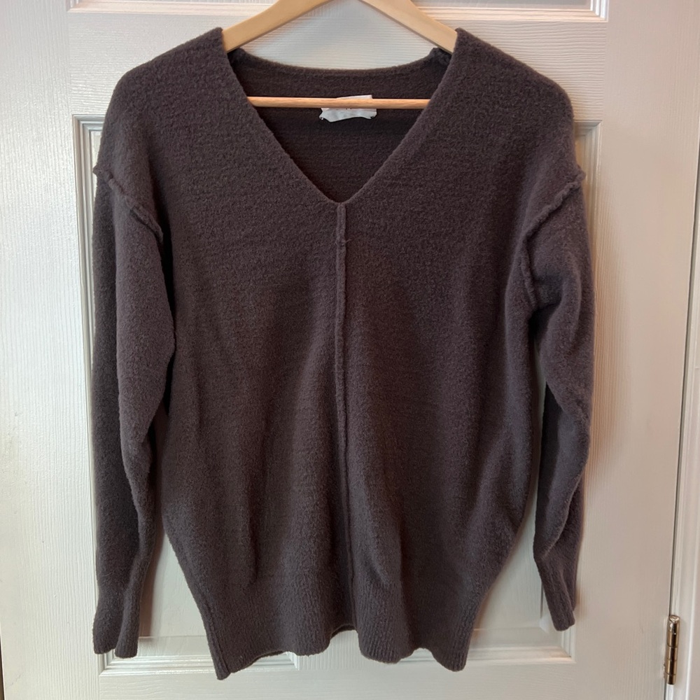 Wilfred Free Aritzia V-Neck Sweater XS